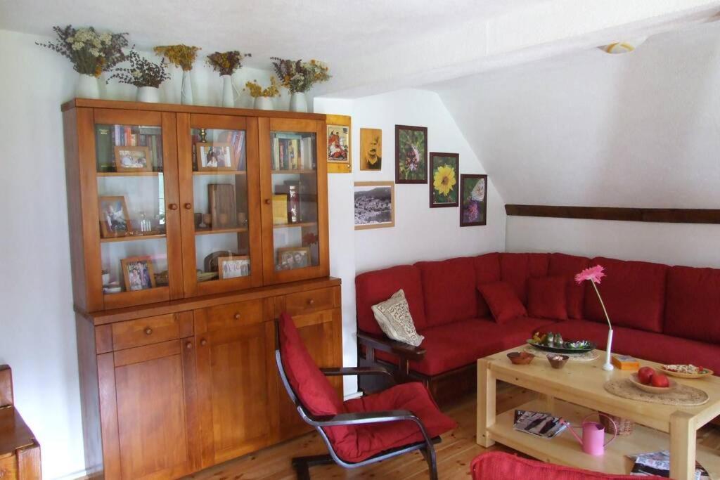 Spectacular Lakeview House Žabljak Εξωτερικό φωτογραφία